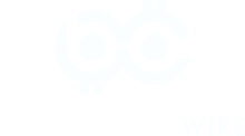 BlockchainWire logo